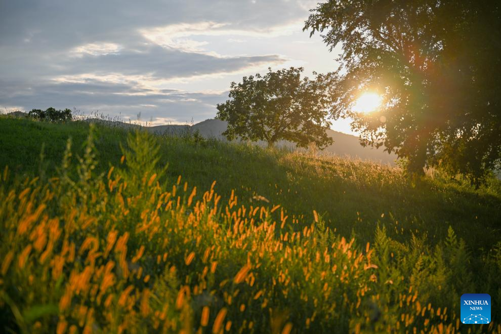 Sunset scenery at Wulanmaodu pasture in Inner Mongolia