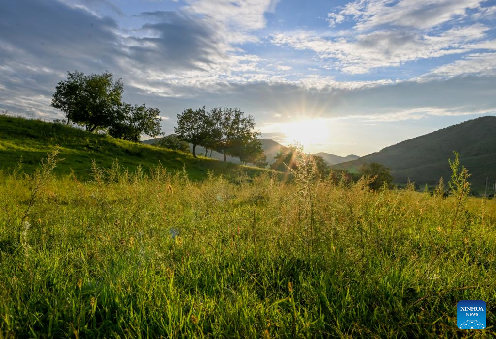 Sunset scenery at Wulanmaodu pasture in Inner Mongolia