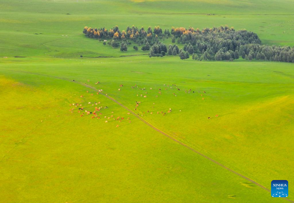 Sunset scenery at Wulanmaodu pasture in Inner Mongolia