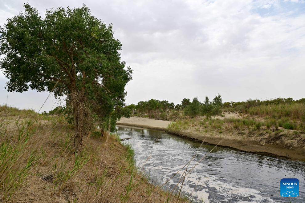 Xinjiang starts water diversion for China's longest inland river