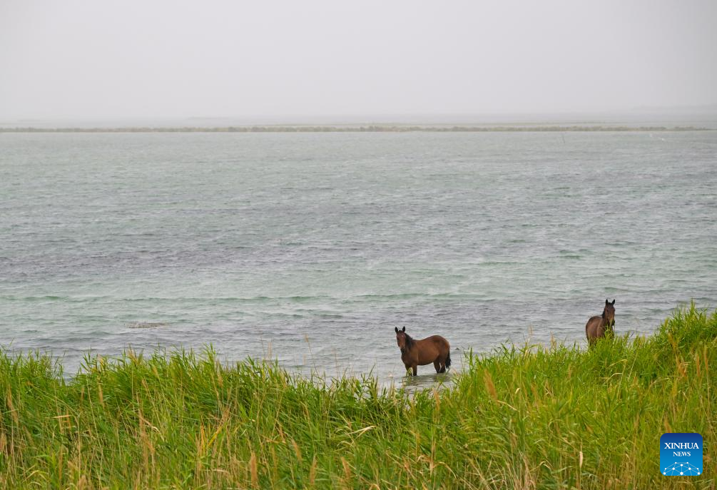 Xinjiang starts water diversion for China's longest inland river