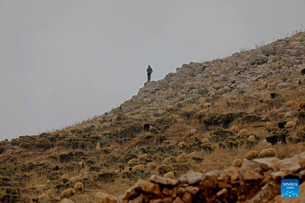 Scenery of Mount Sannine, Lebanon