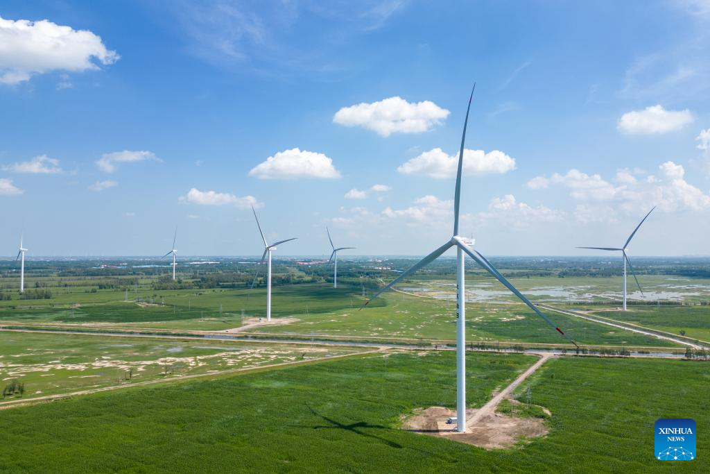 China's northeast region accelerates layout of clean energy industryX