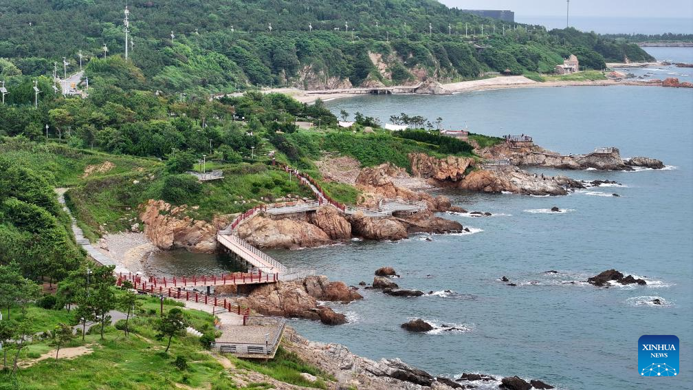 Shandong sees maritime ecological restoration progress