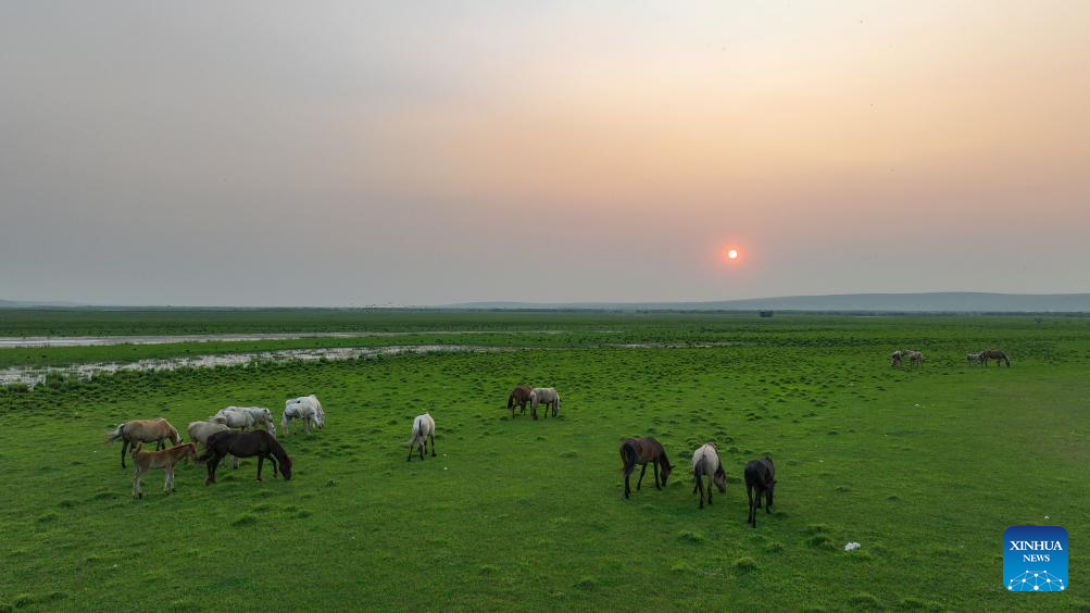 A glimpse of ecological security barrier in NE China