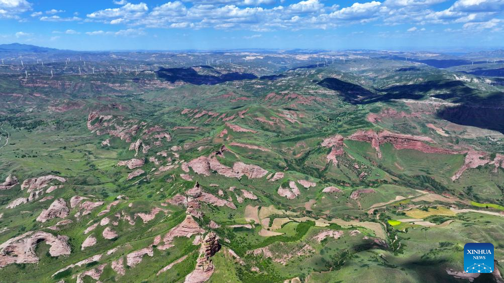 Scenery of Danxia landform in Ningxia, NW China