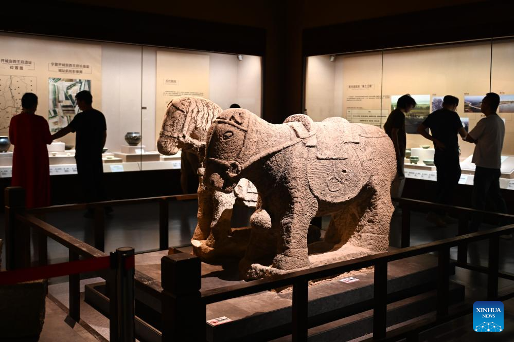 Visitors experience rich culture and history of Ningxia in Ningxia Museum