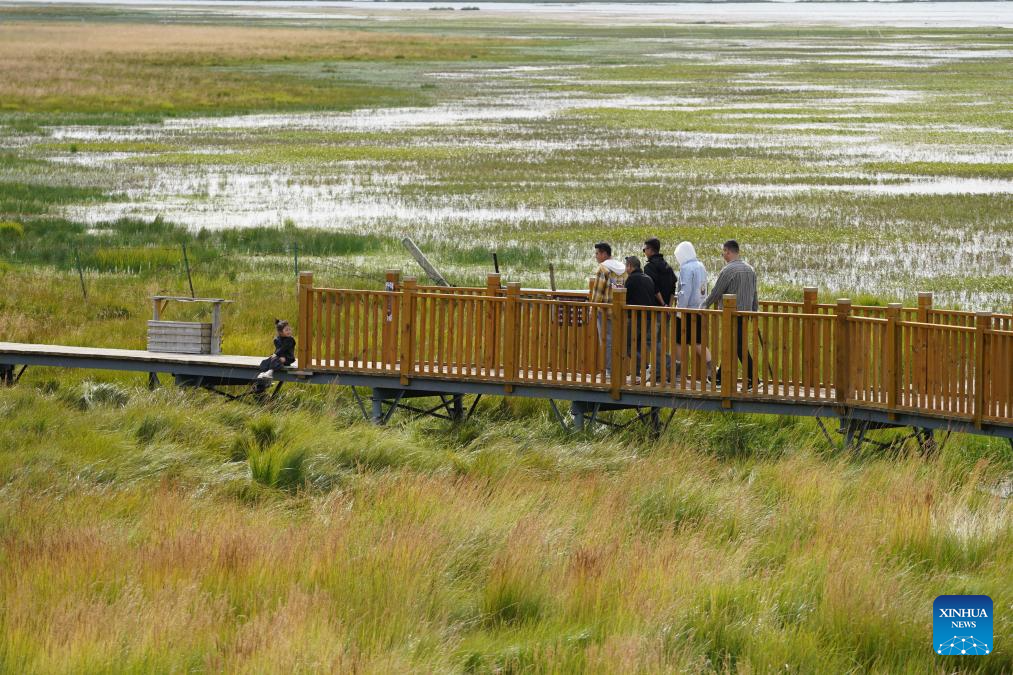 Scenery of Gahai Lake wetland in NW China's Gansu