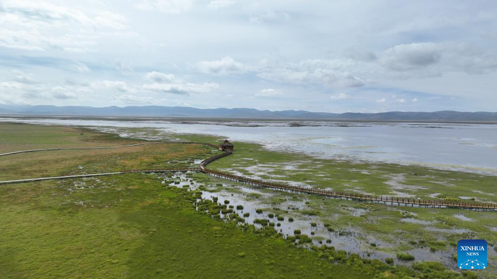 Scenery of Gahai Lake wetland in NW China's Gansu