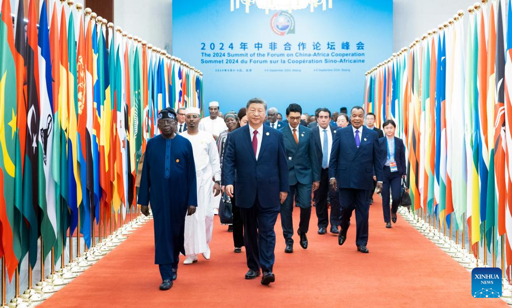 Xi proposes partnership actions to jointly advance modernization with Africa