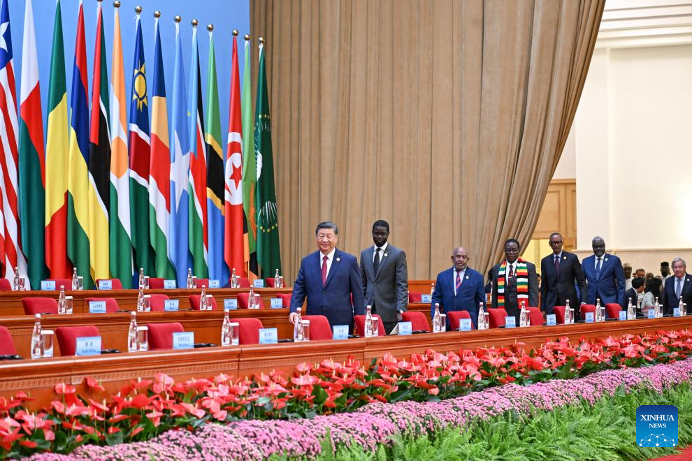 Xi proposes partnership actions to jointly advance modernization with Africa