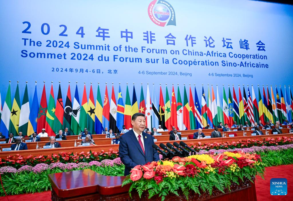 Xi proposes partnership actions to jointly advance modernization with Africa