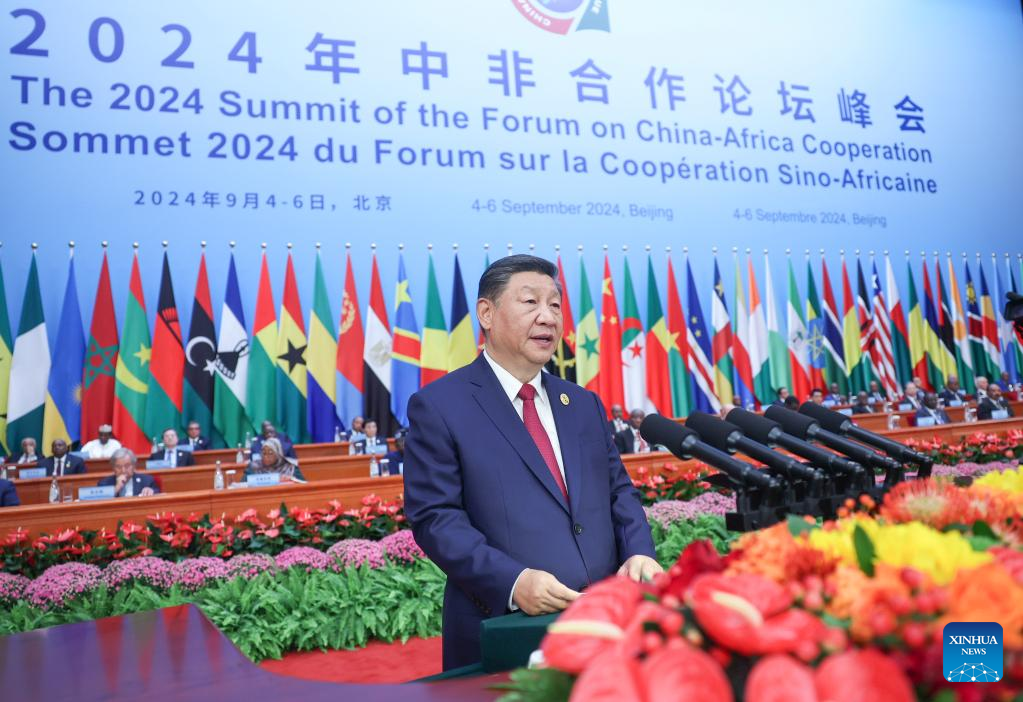 Xi proposes partnership actions to jointly advance modernization with Africa