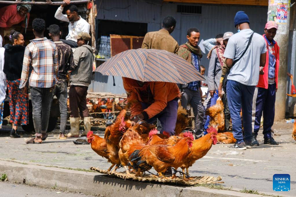 Consumers enjoy stable market in celebration of Ethiopian New Year