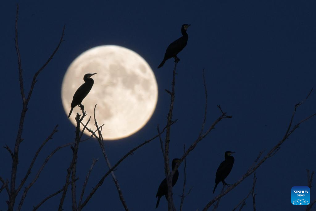 Full moon shines on night of Mid-Autumn Festival in China