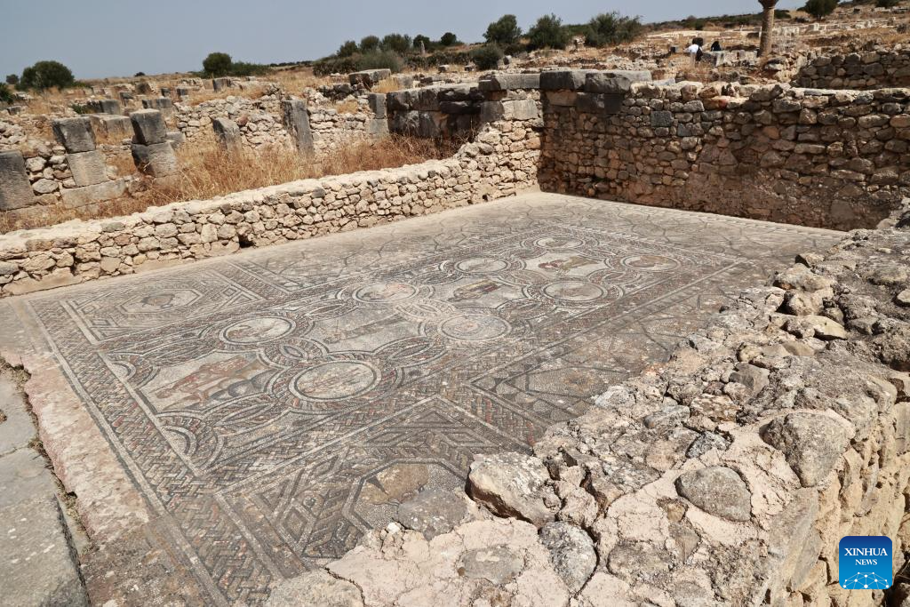 View of ruins of Volubilis in Morocco