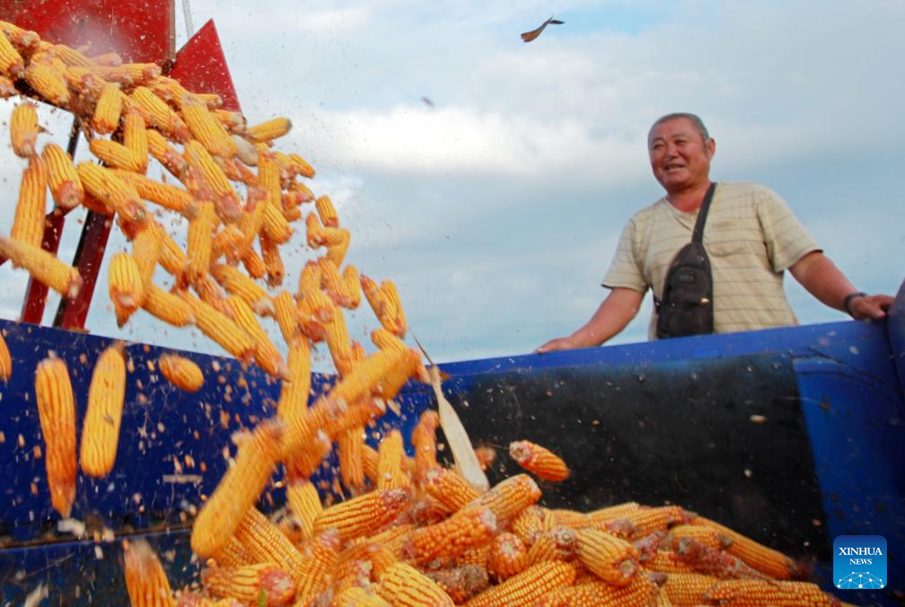 7th Chinese farmers' harvest festival celebrated across China