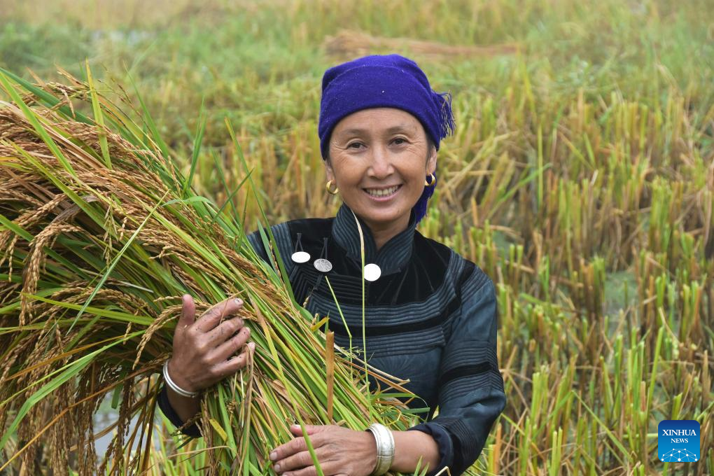 7th Chinese farmers' harvest festival celebrated across China