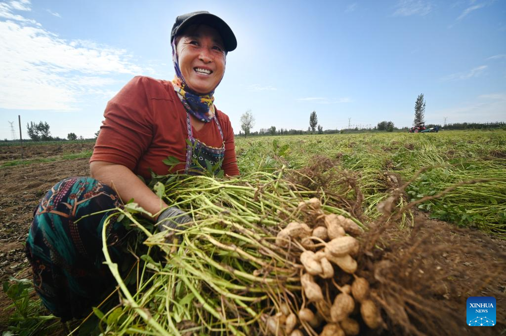 7th Chinese farmers' harvest festival celebrated across China