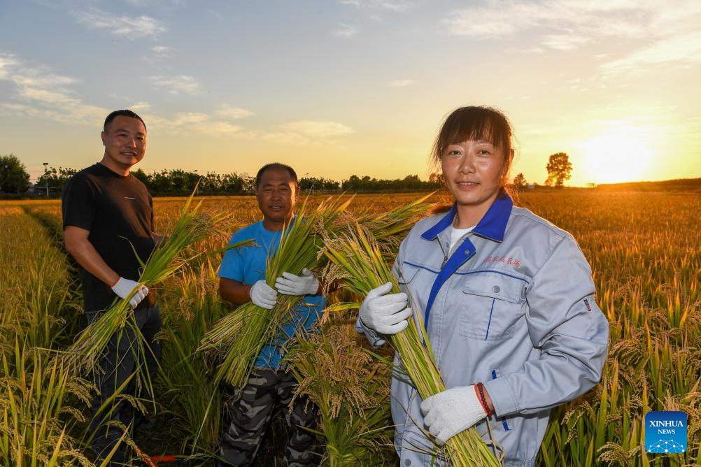 7th Chinese farmers' harvest festival celebrated across China