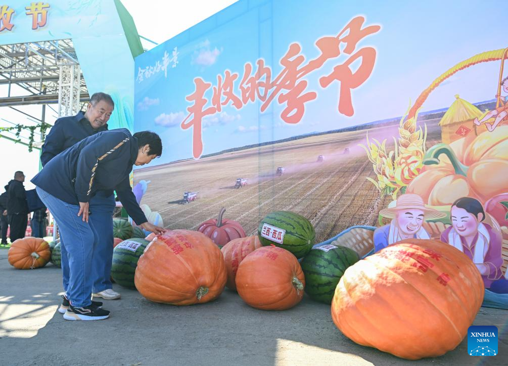 7th Chinese farmers' harvest festival celebrated across China