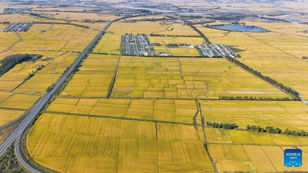 7th Chinese farmers' harvest festival celebrated across China