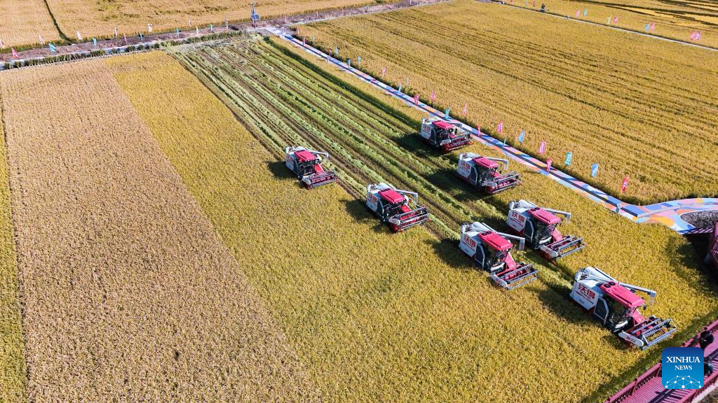 7th Chinese farmers' harvest festival celebrated across China