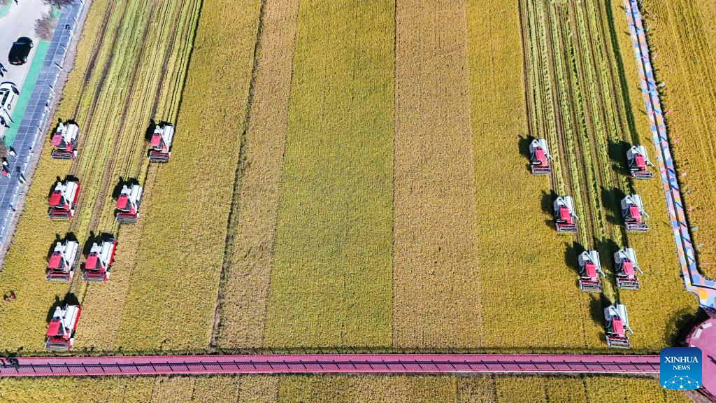 7th Chinese farmers' harvest festival celebrated across China