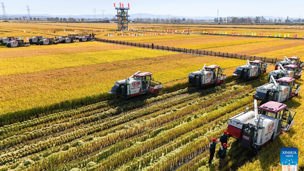 7th Chinese farmers' harvest festival celebrated across China