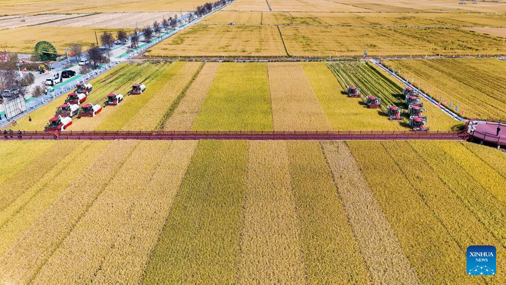 7th Chinese farmers' harvest festival celebrated across China