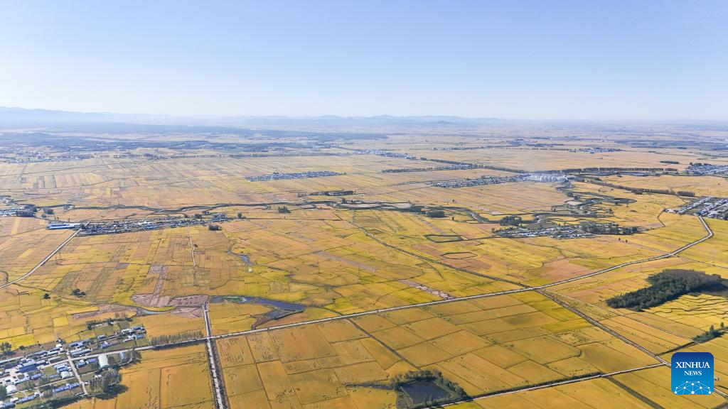 7th Chinese farmers' harvest festival celebrated across China