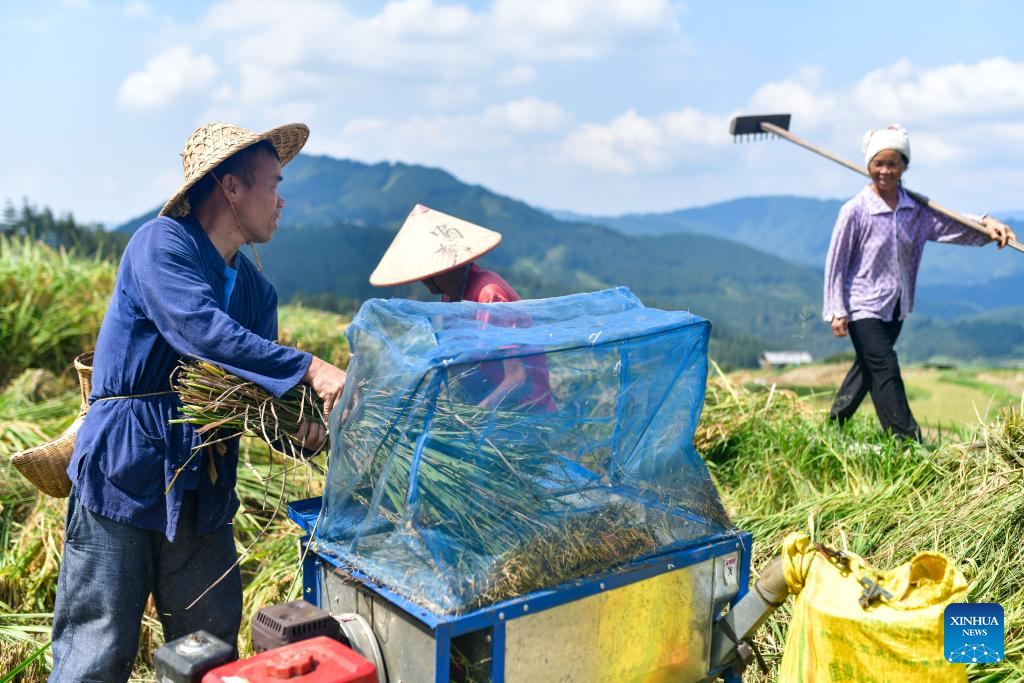 Local dedicated to searching and protecting old varieties of crops in SW China