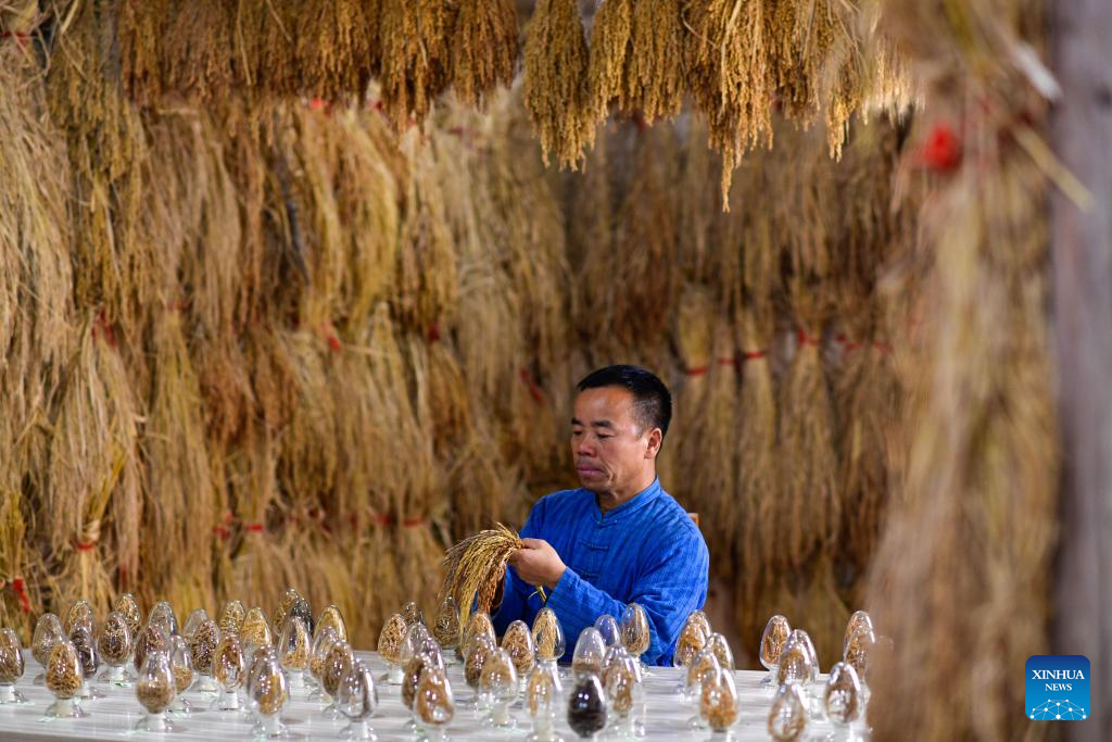 Local dedicated to searching and protecting old varieties of crops in SW China