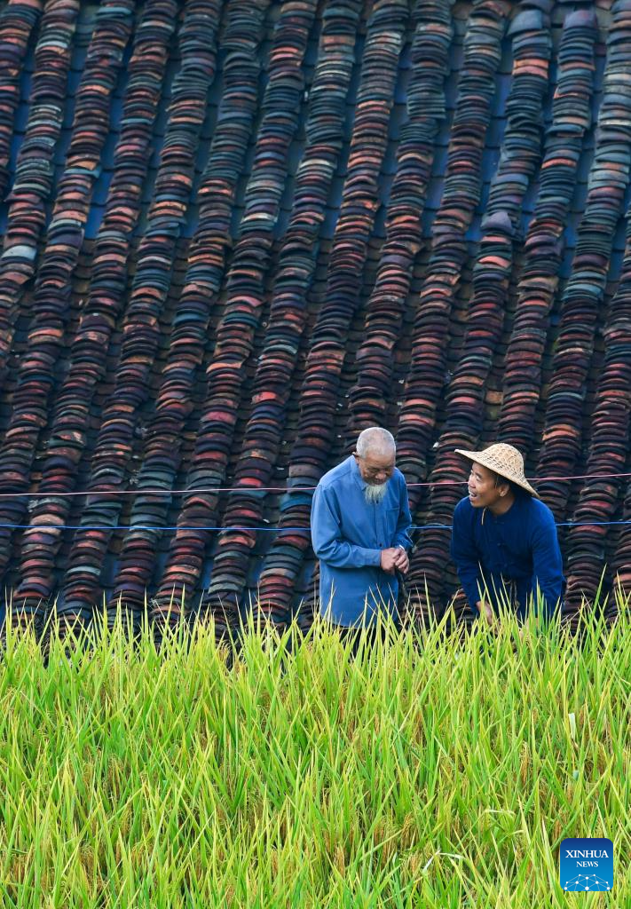 Local dedicated to searching and protecting old varieties of crops in SW China