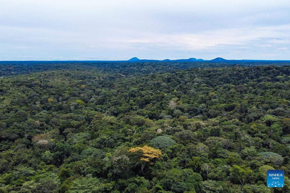 In pics: reservoir area of Deng Deng National Park in E Cameroon