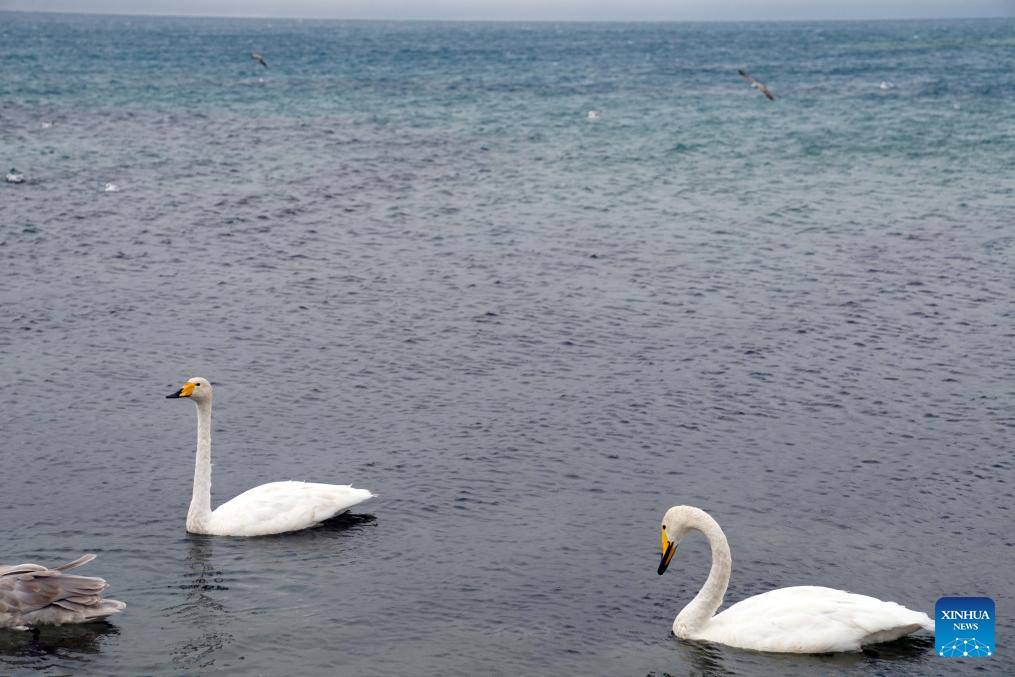 Scenery of Sayram Lake in Xinjiang