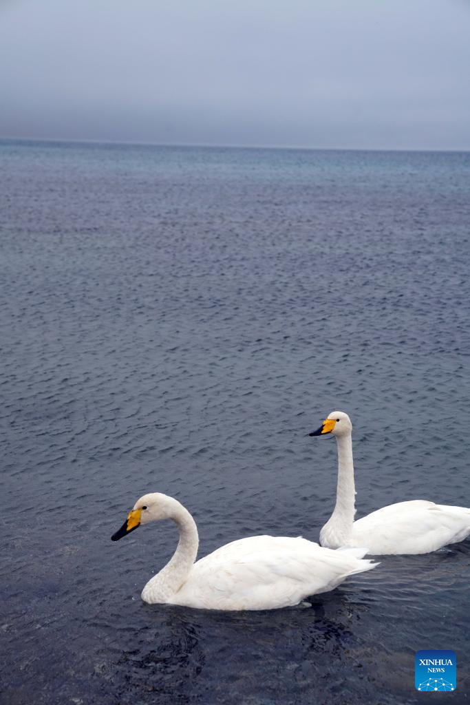 Scenery of Sayram Lake in Xinjiang