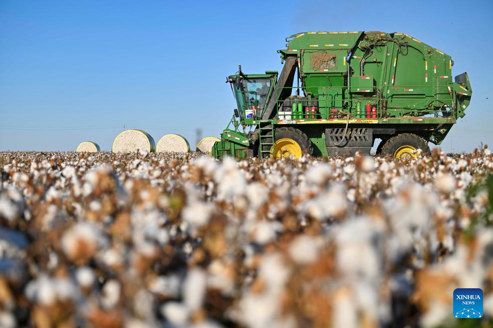 Cotton harvest season starts in Xinjiang