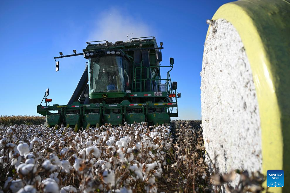 Cotton harvest season starts in Xinjiang