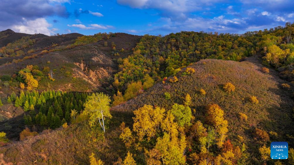 Autumn scenery of China's Inner Mongolia