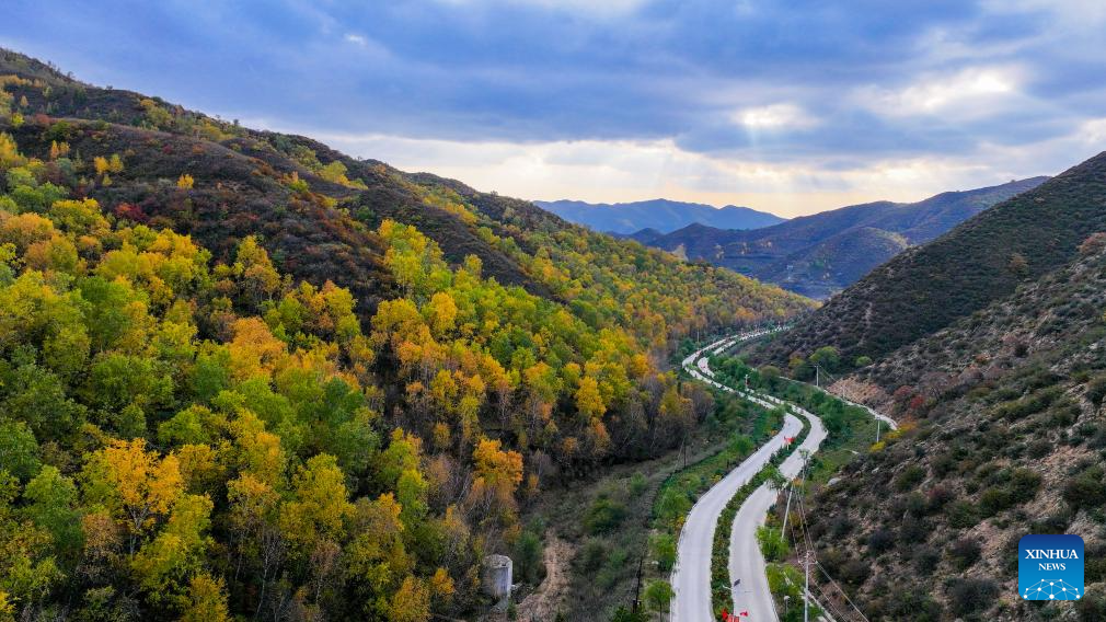 Autumn scenery of China's Inner Mongolia