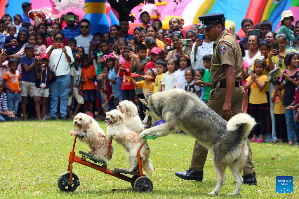 Dogs of Sri Lankan police department's canine force perform at park