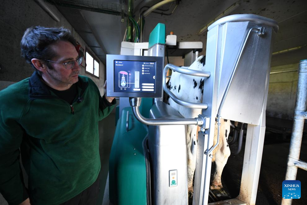 In pics: dairy farm in Froideville, Switzerland