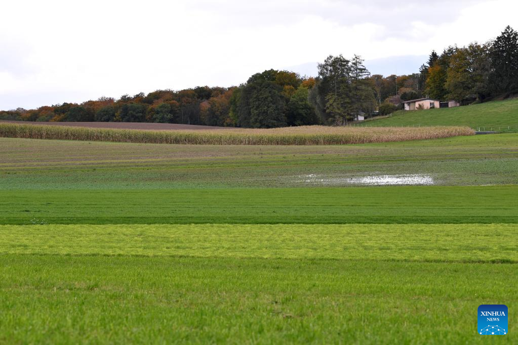 In pics: dairy farm in Froideville, Switzerland