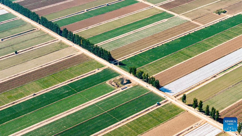 Aerial view of farms in Ningxia, NW China