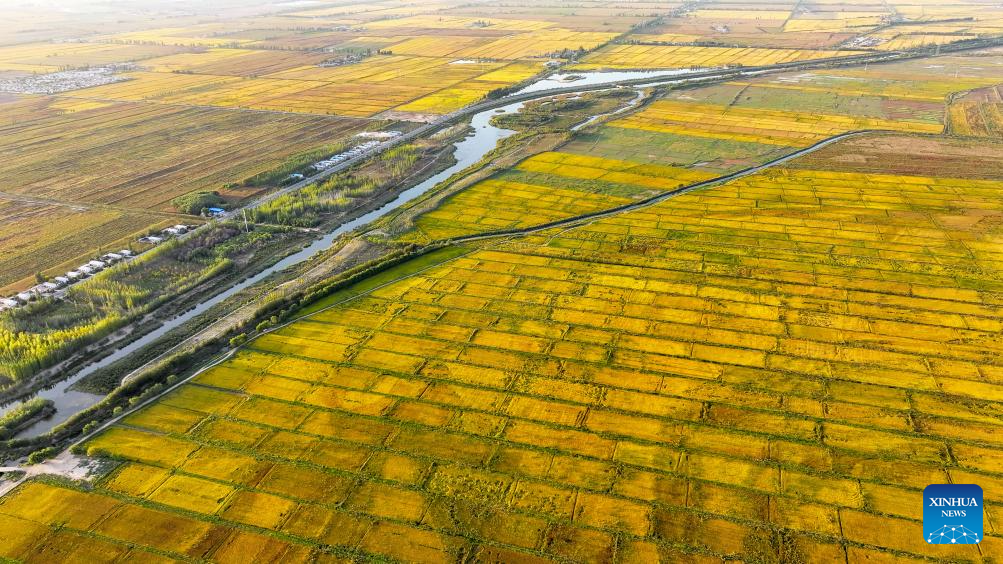 Aerial view of farms in Ningxia, NW China