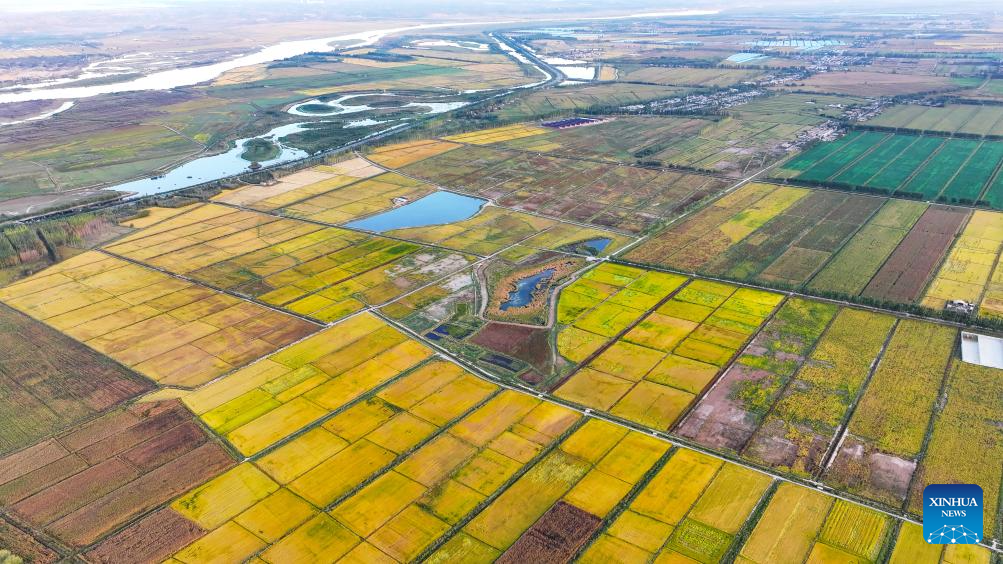 Aerial view of farms in Ningxia, NW China