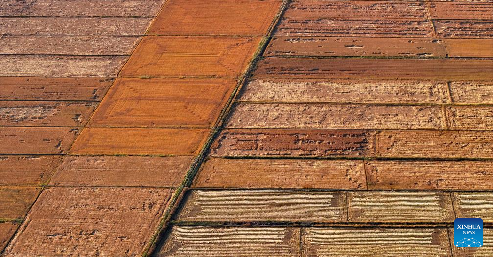 Aerial view of farms in Ningxia, NW China