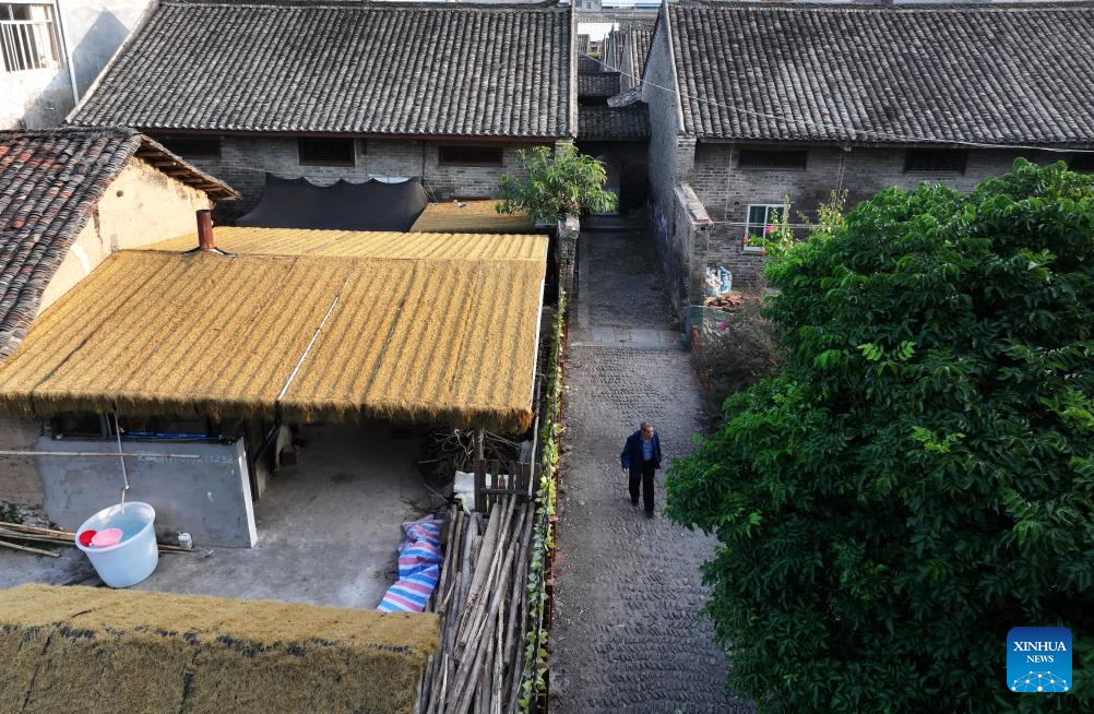 Traditional village in S China turns tourist attraction, hot spot for study tours