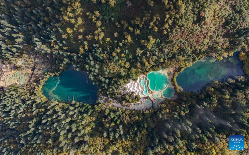 Autumn view of Jiuzhaigou in China's Sichuan